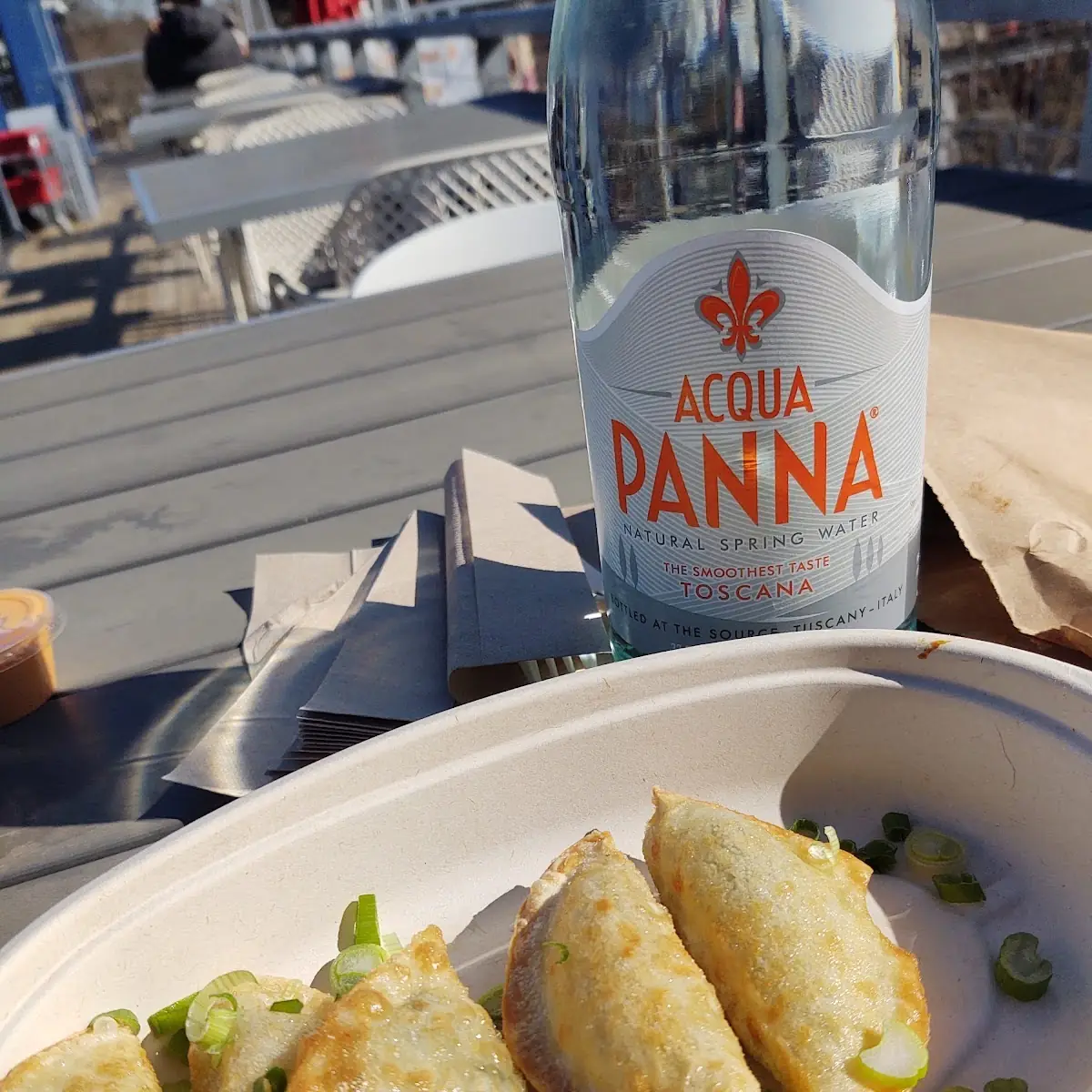 Fried Dumplings
