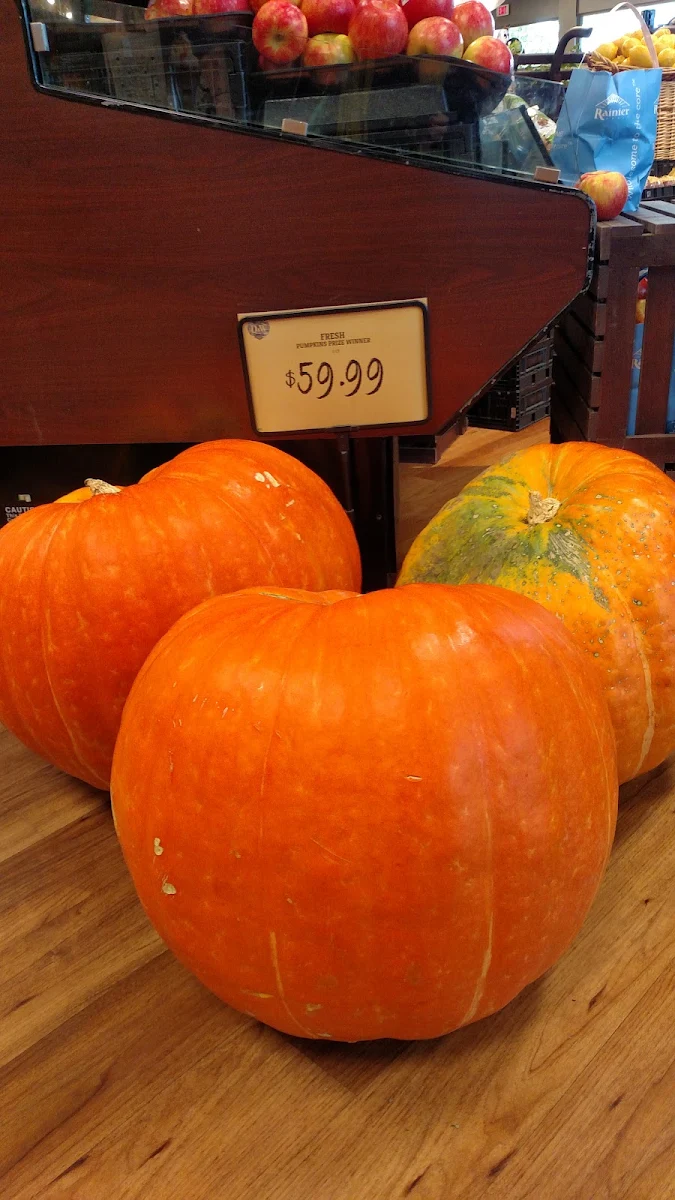 Giant Pumpkin Spice
