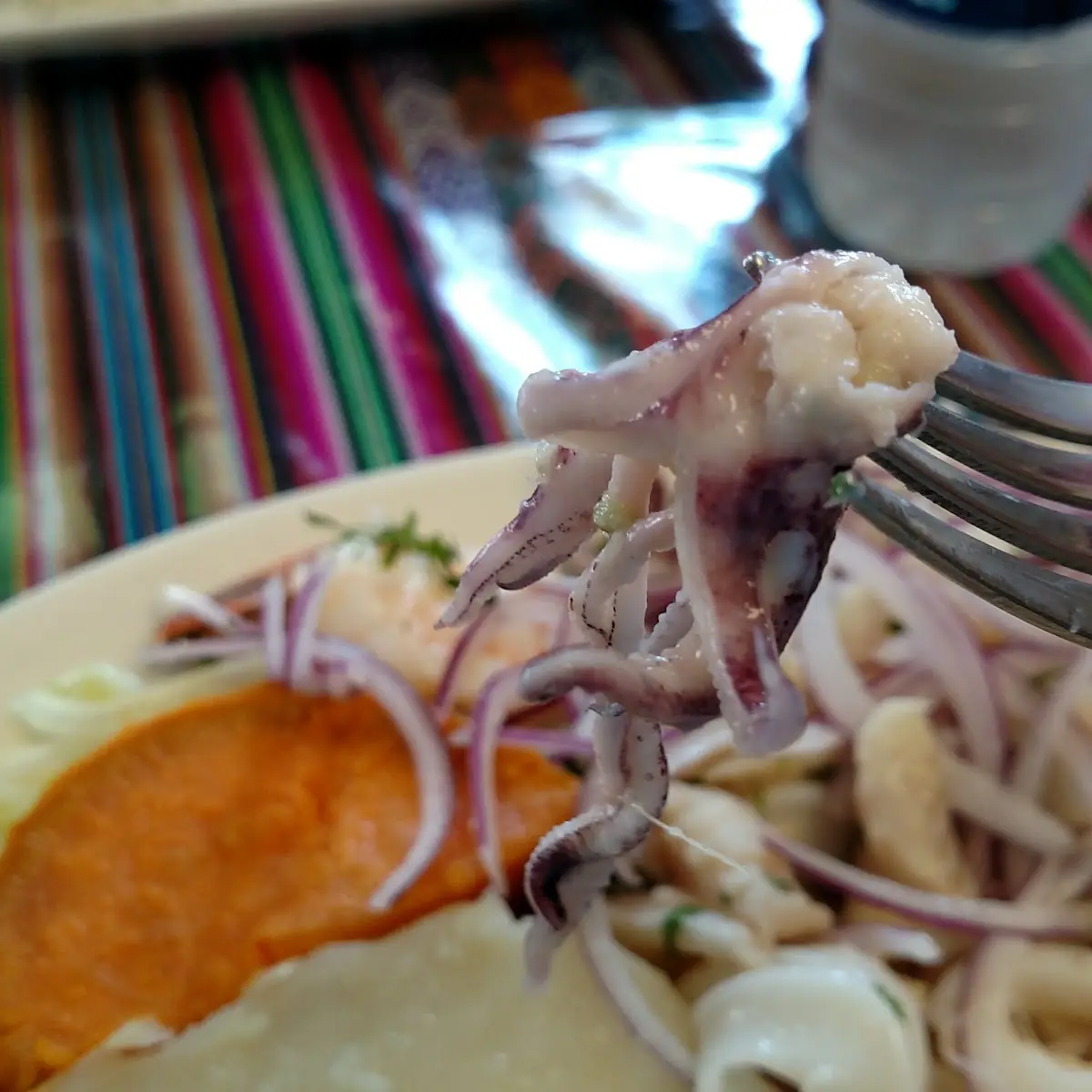 Ceviche