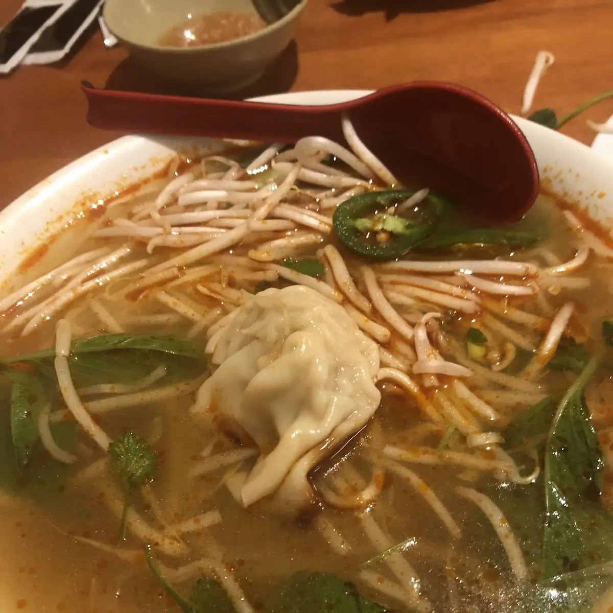 Spicy Wonton Noodle Soup