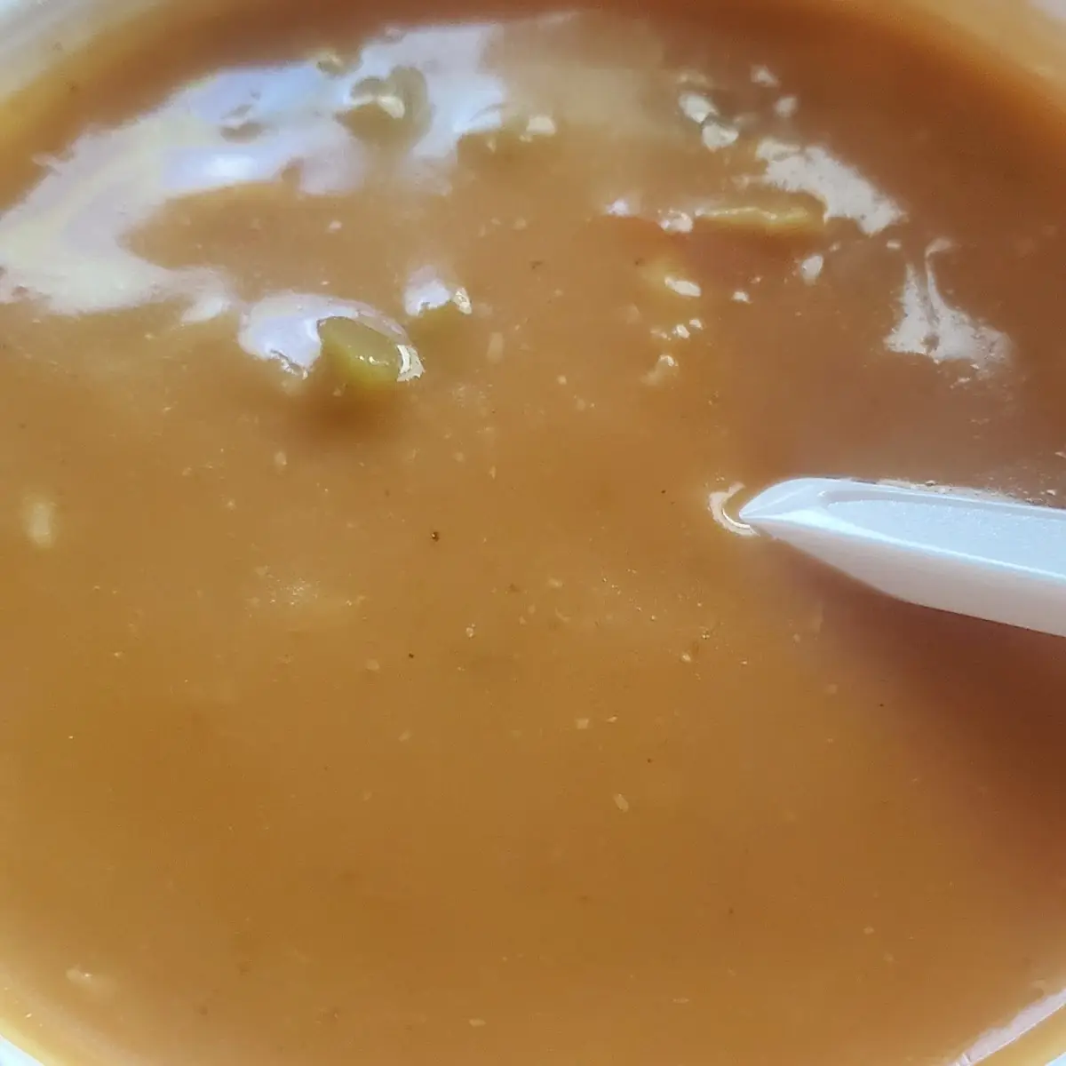 Chicken Tortilla Soup