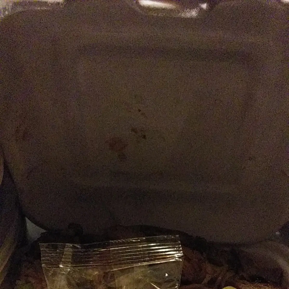 Orange Chicken Broccoli Shrimp Egg Foo Young Chow Fried Rice Noodles
