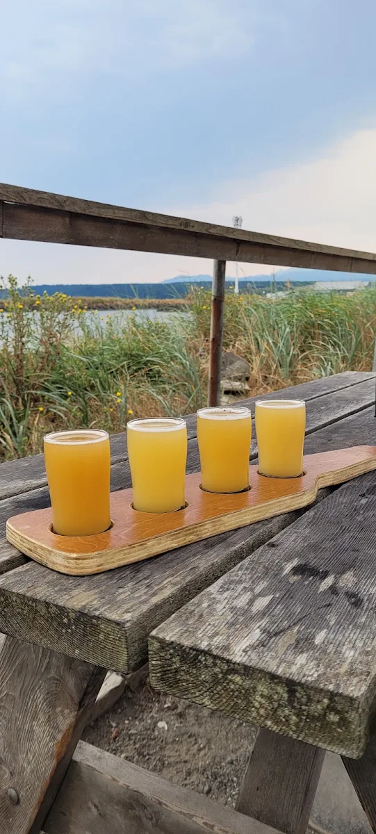 Beer Flight Taster