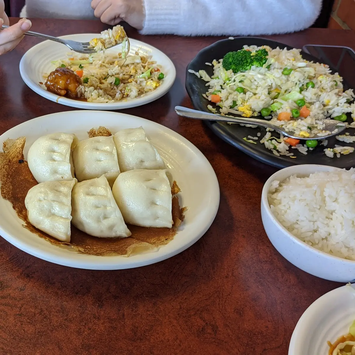 Pan Fried Dumplings
