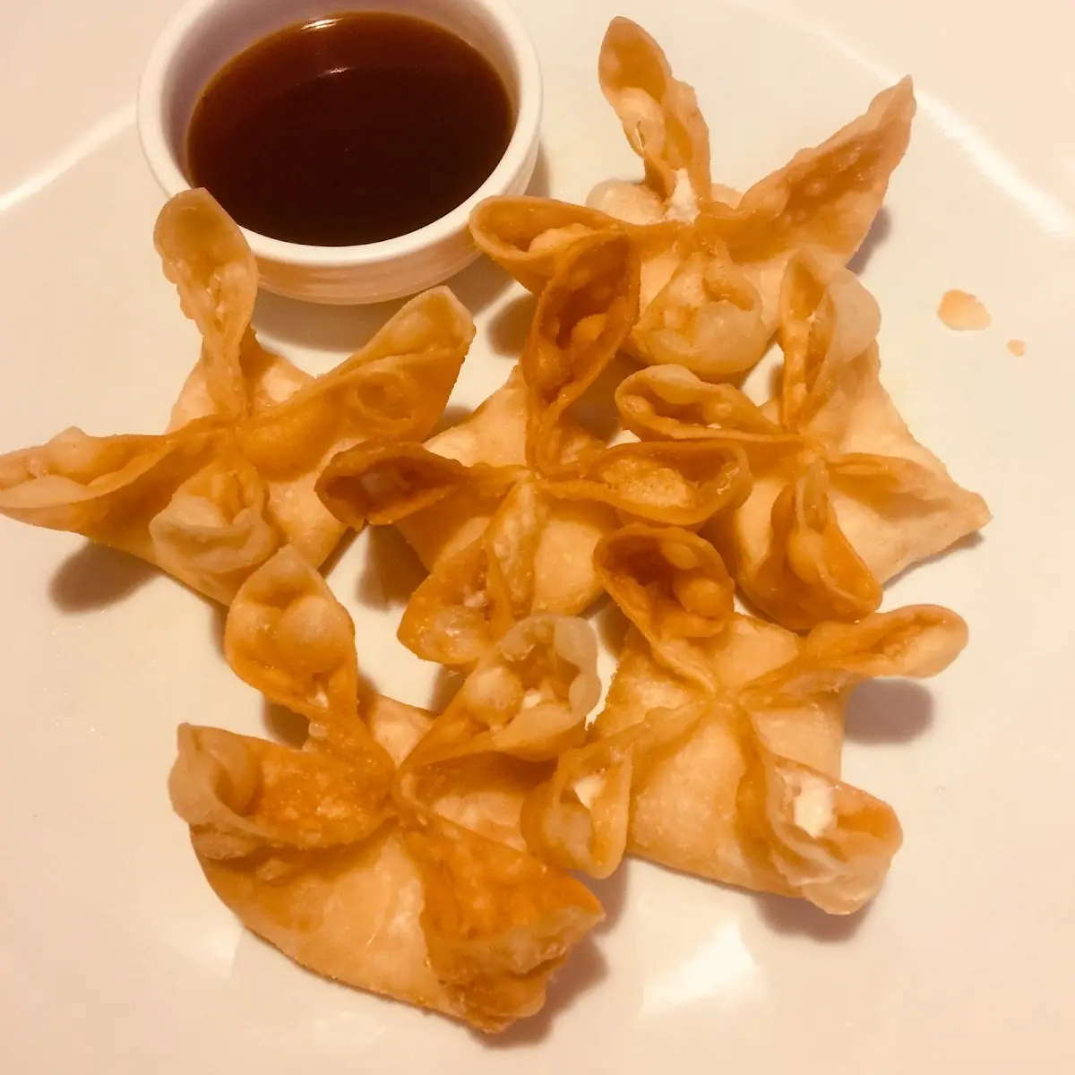 Cream Cheese Wonton