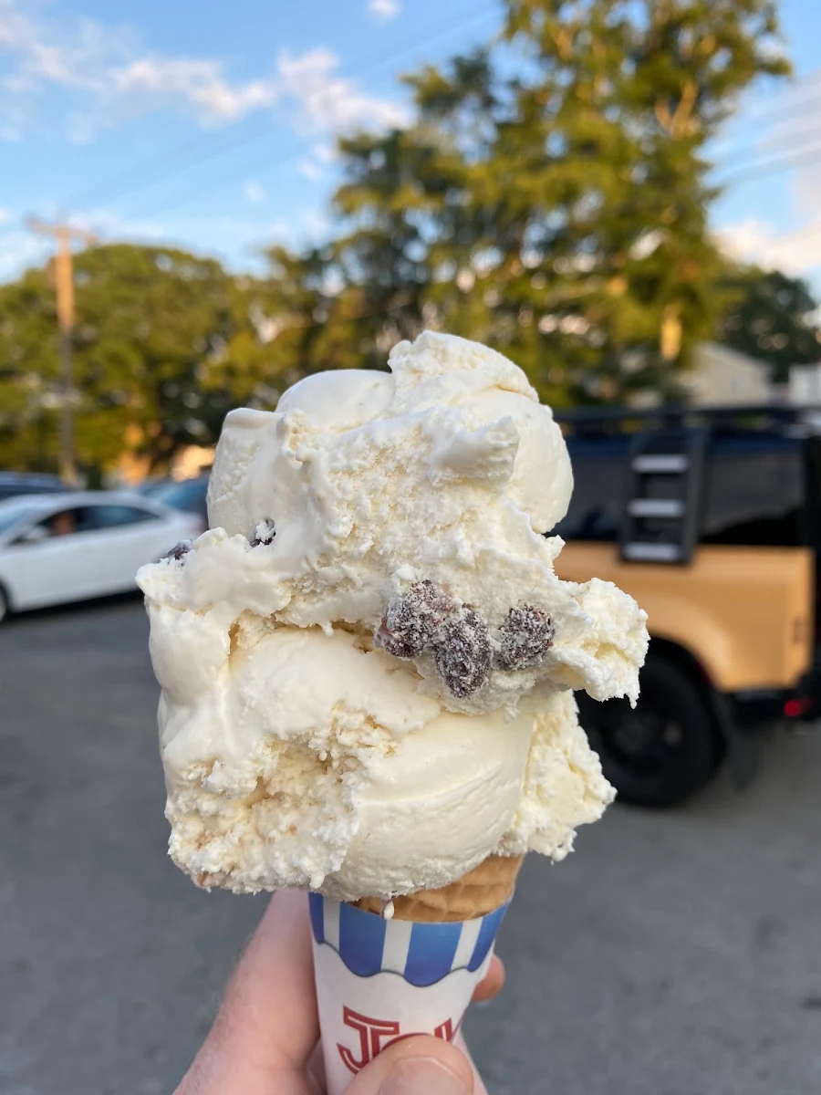 Rum and Raisin Ice Cream
