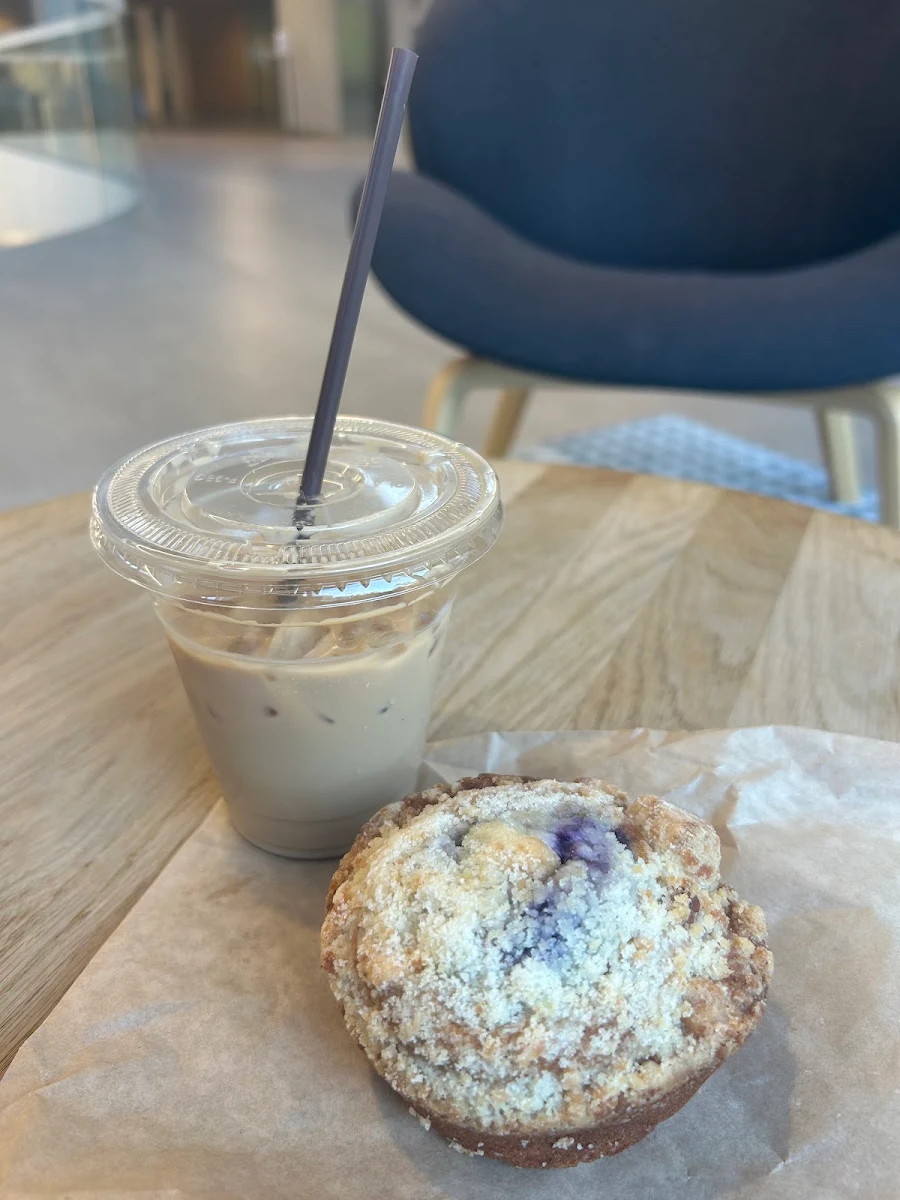 Blueberry Muffin
