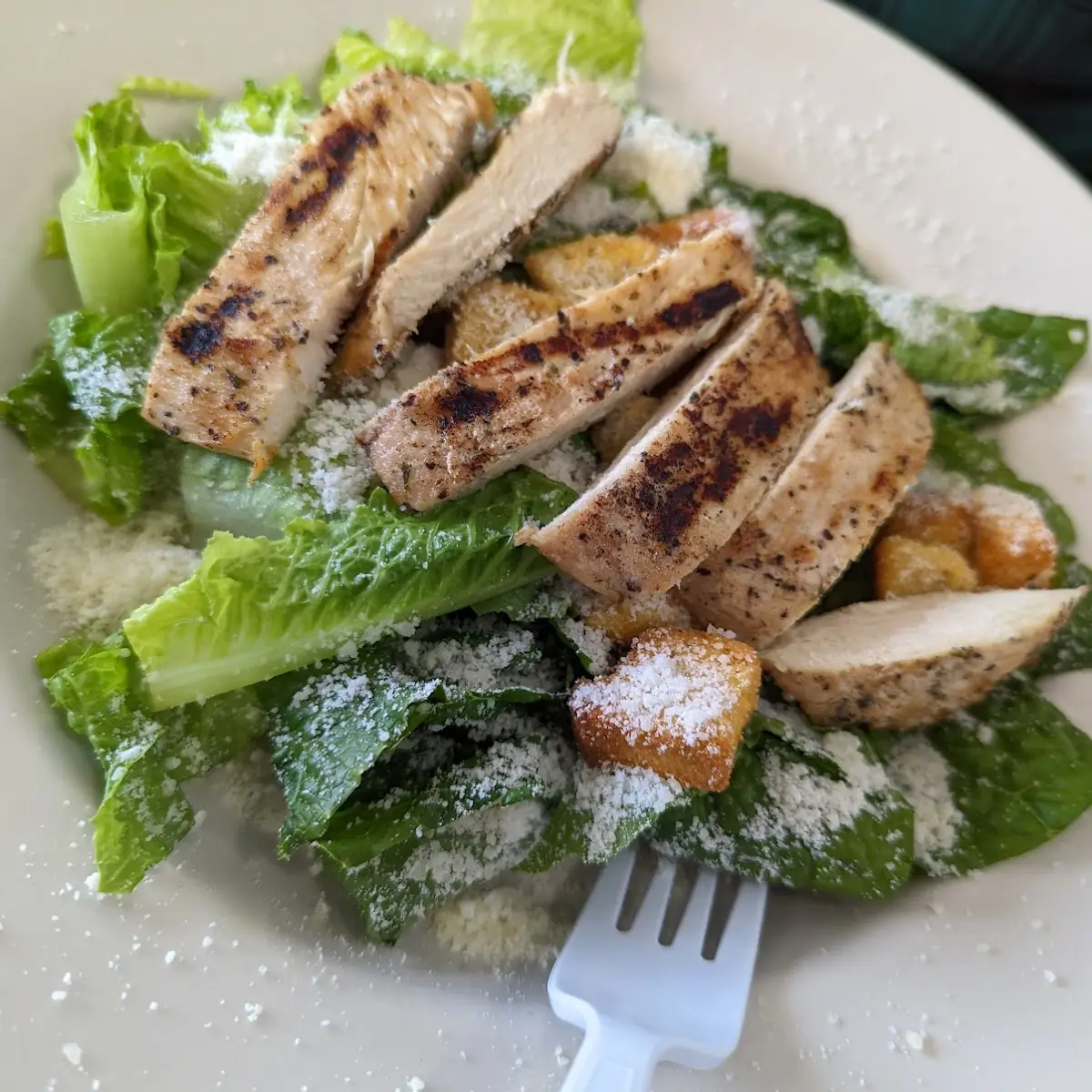 Chicken Caesar Salad