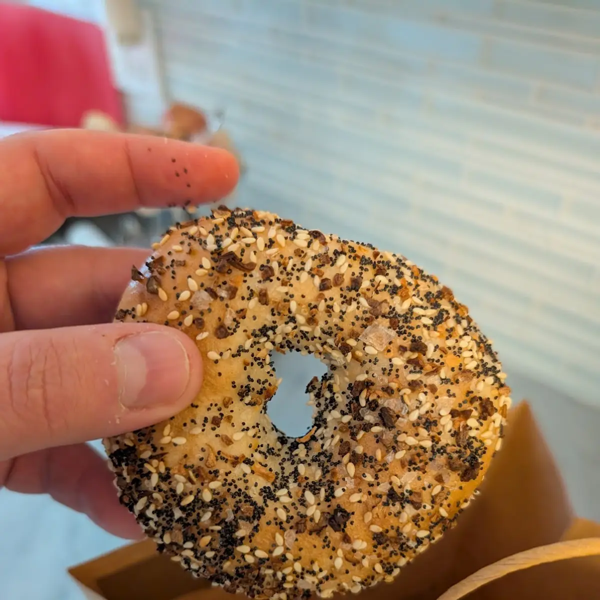 Everything Bagel