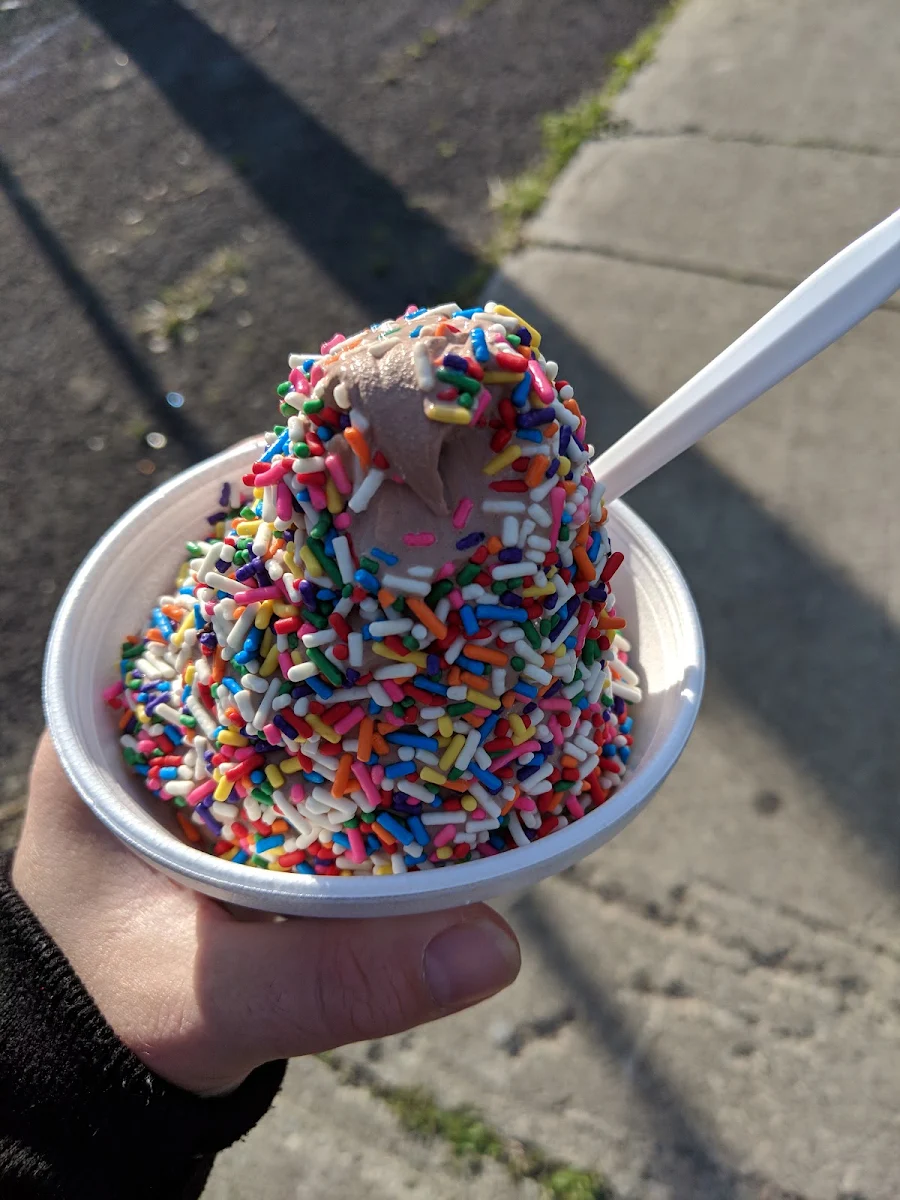 Chocolate Ice Cream with Rainbow Sprinkles