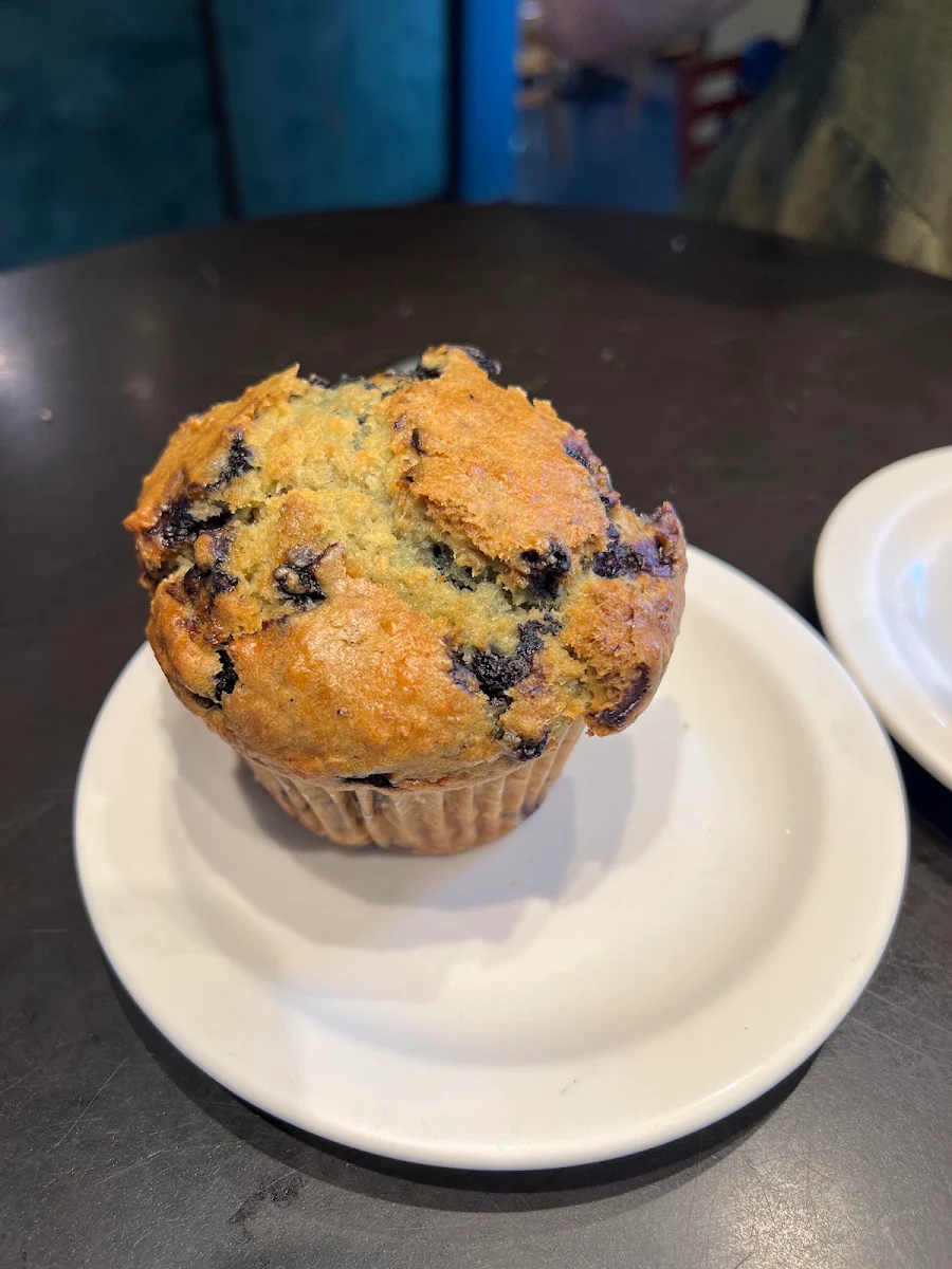 Blueberry Muffin