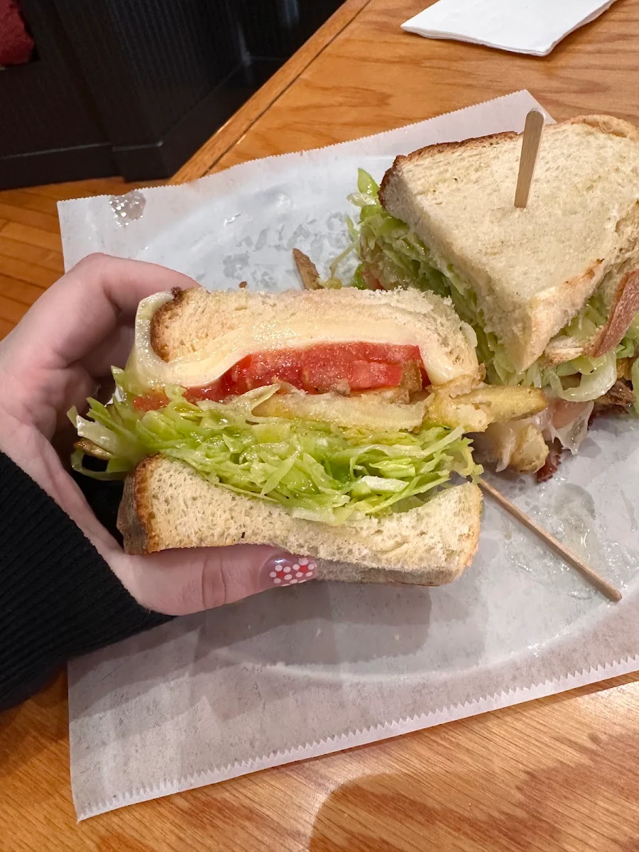 Just Cheese Sandwich