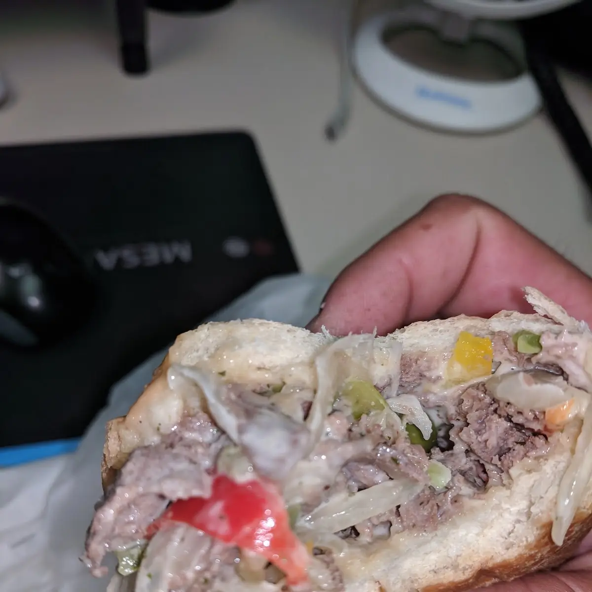 Philly Steak Sandwich