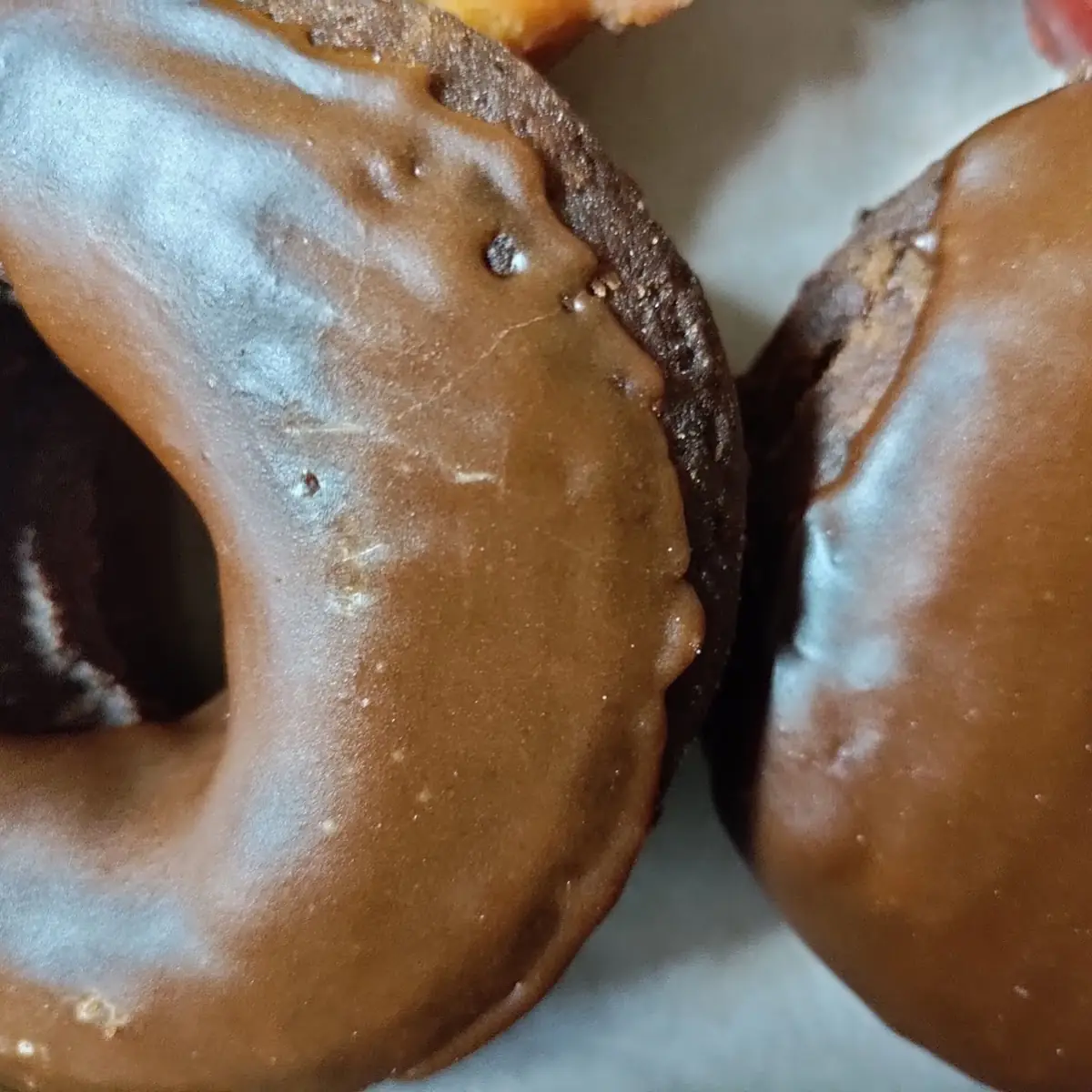 Double Chocolate Donut