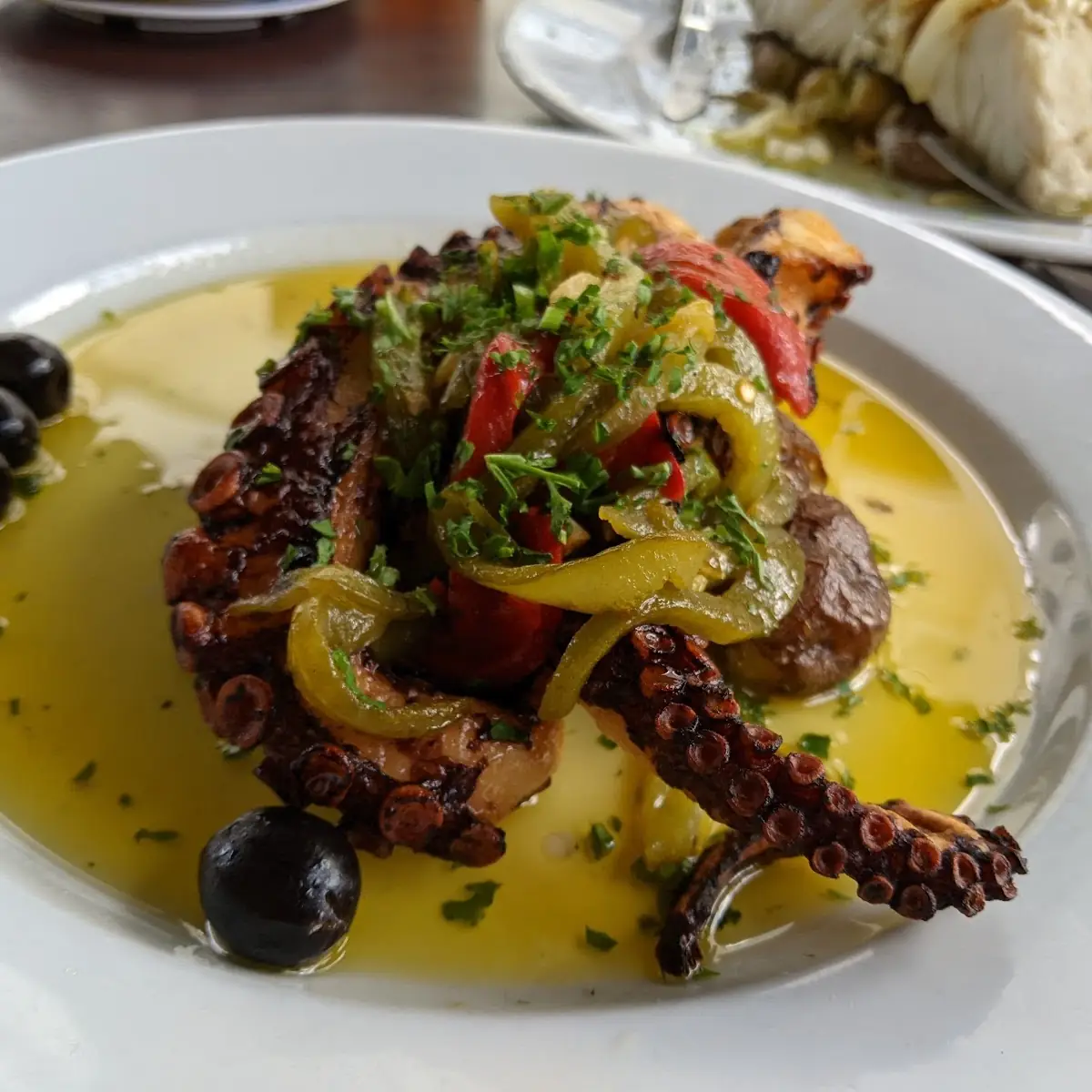 Grilled Octopus
