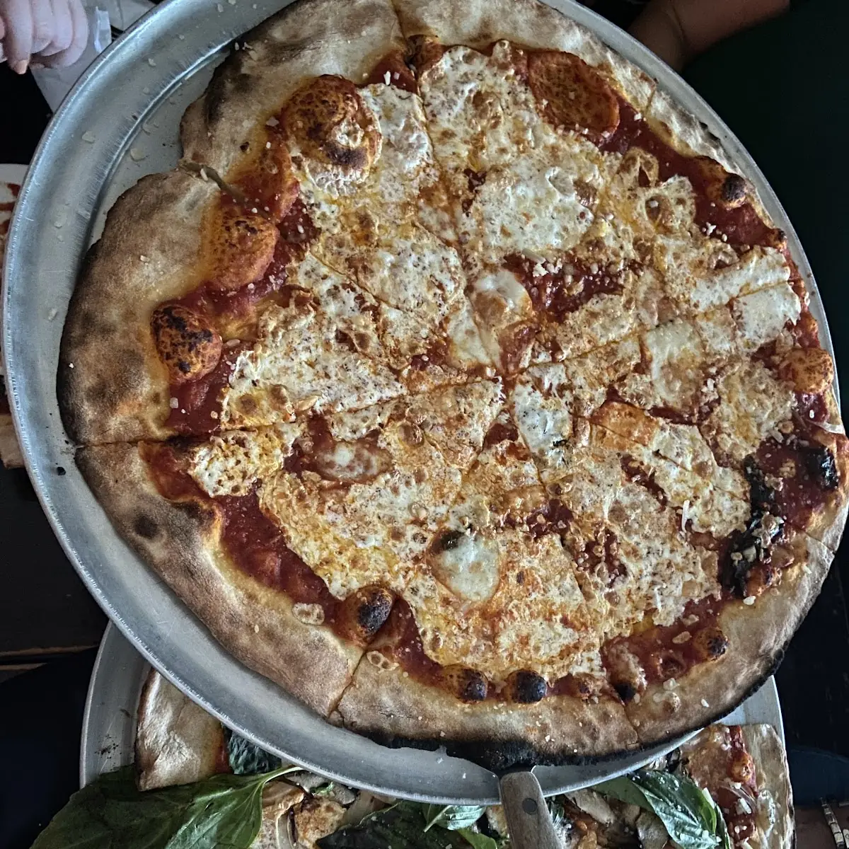 Cheese and Veggie Pizza