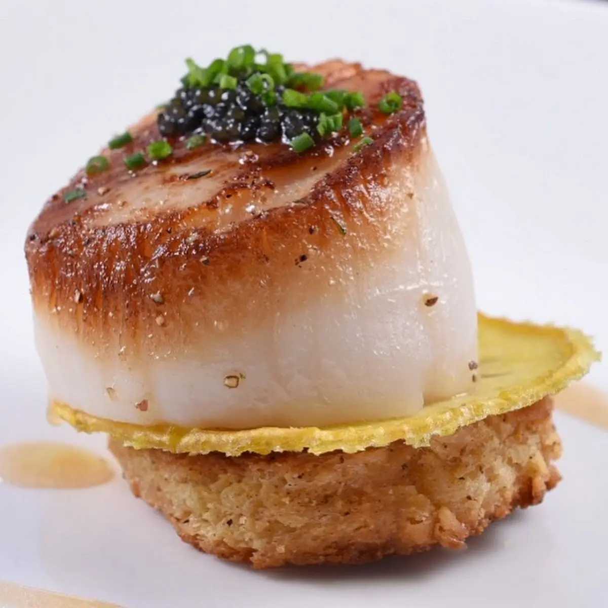 Scallops & Pork Belly
