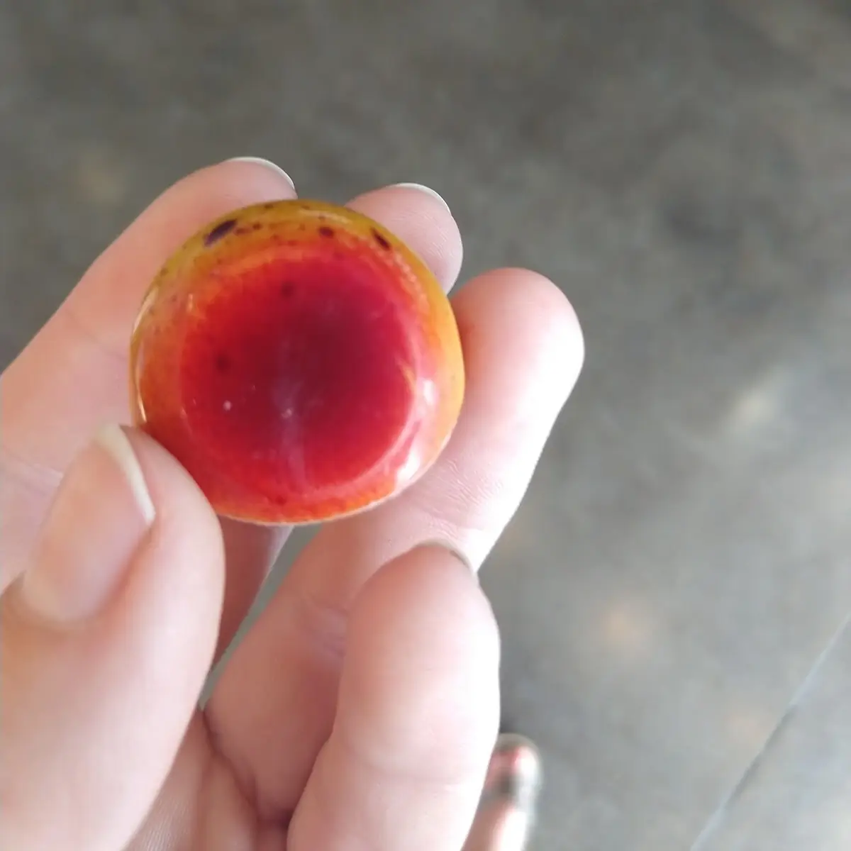 Passion Fruit