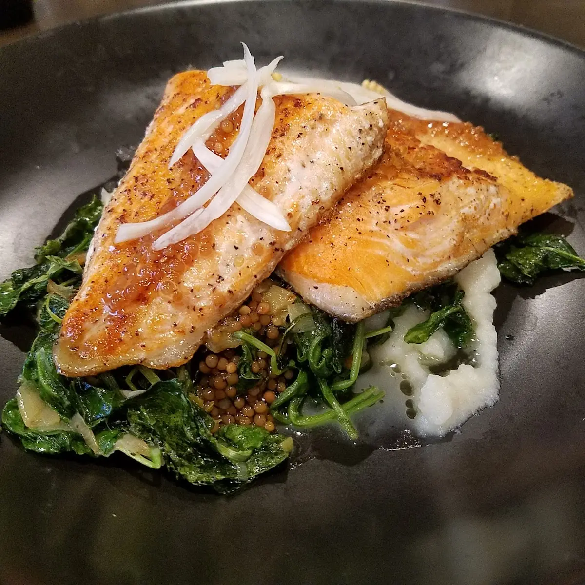 Arctic Char