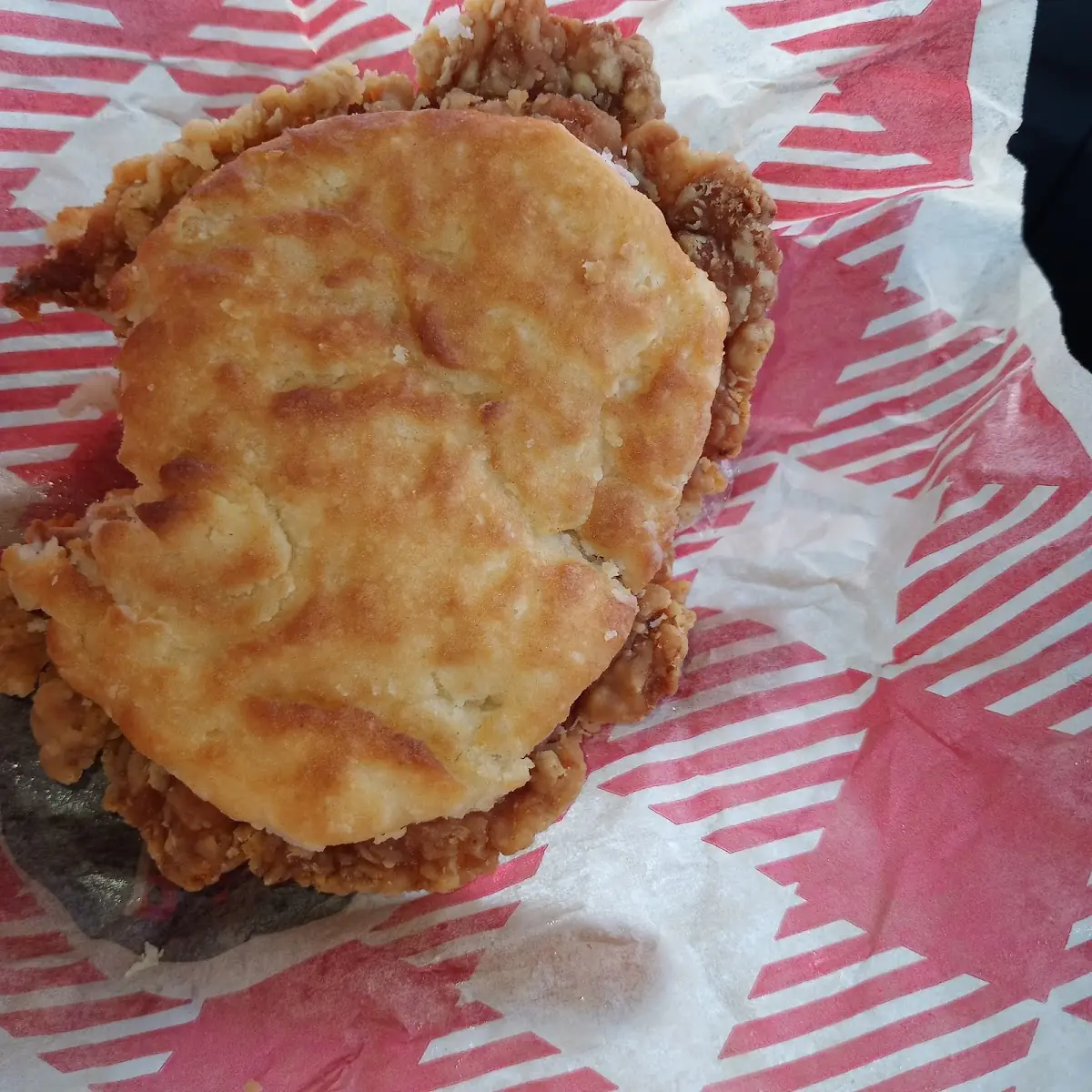 Chicken Biscuit