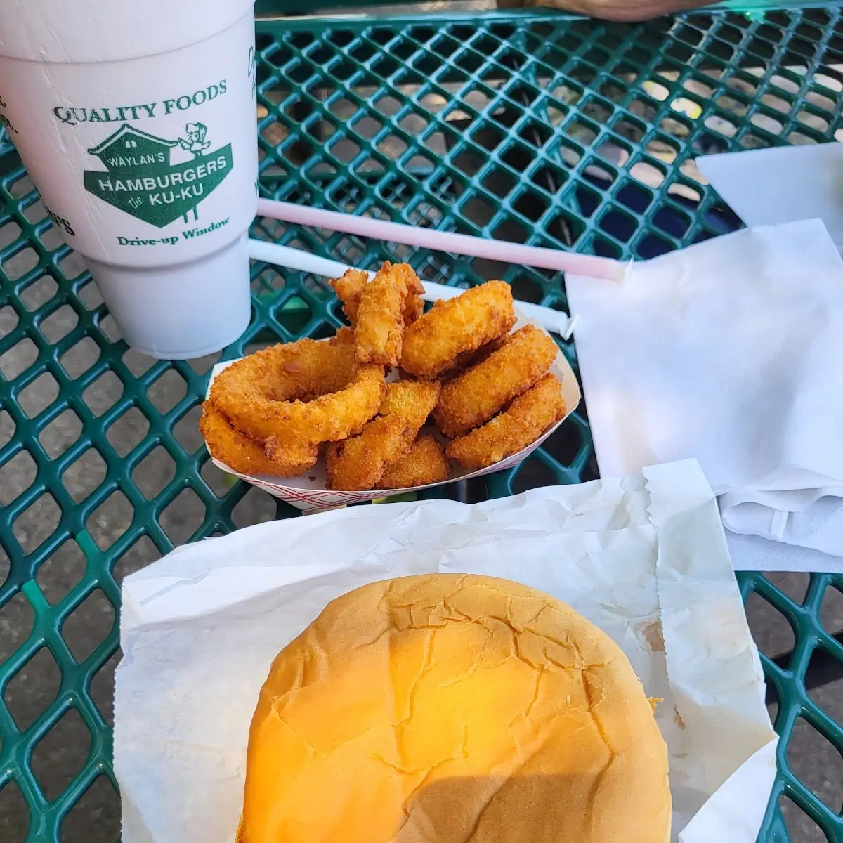 Burger and Onion Rings