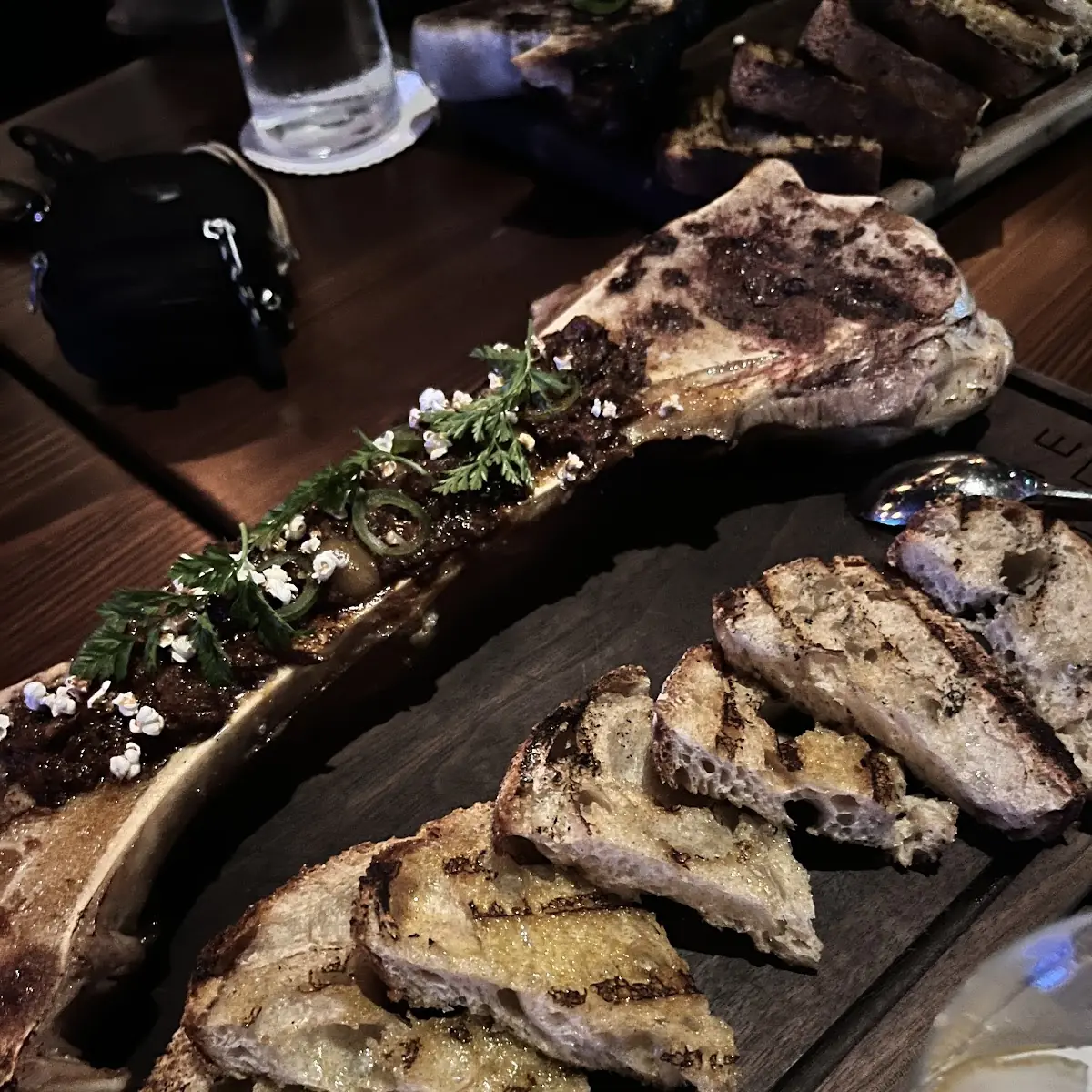 Dinosaur Bone Marrow