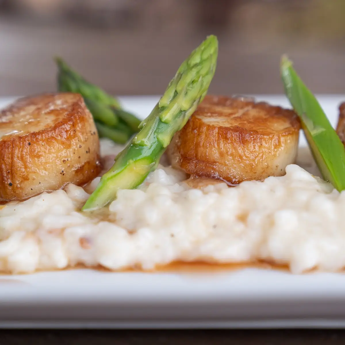 Pan Seared Scallops