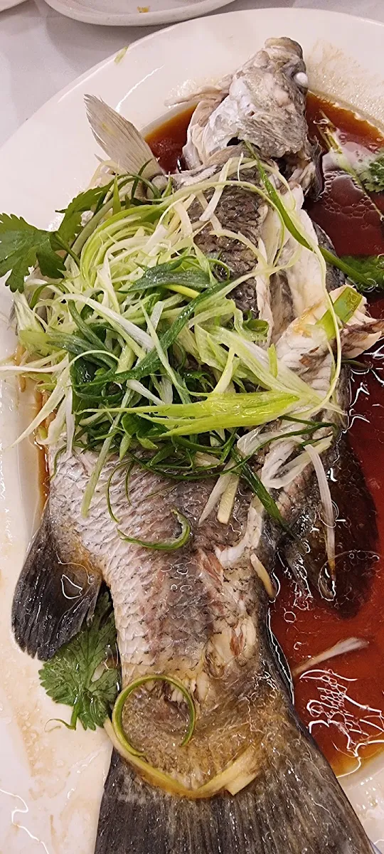 Steamed Fish, Silver Territory Seafood Restaurant