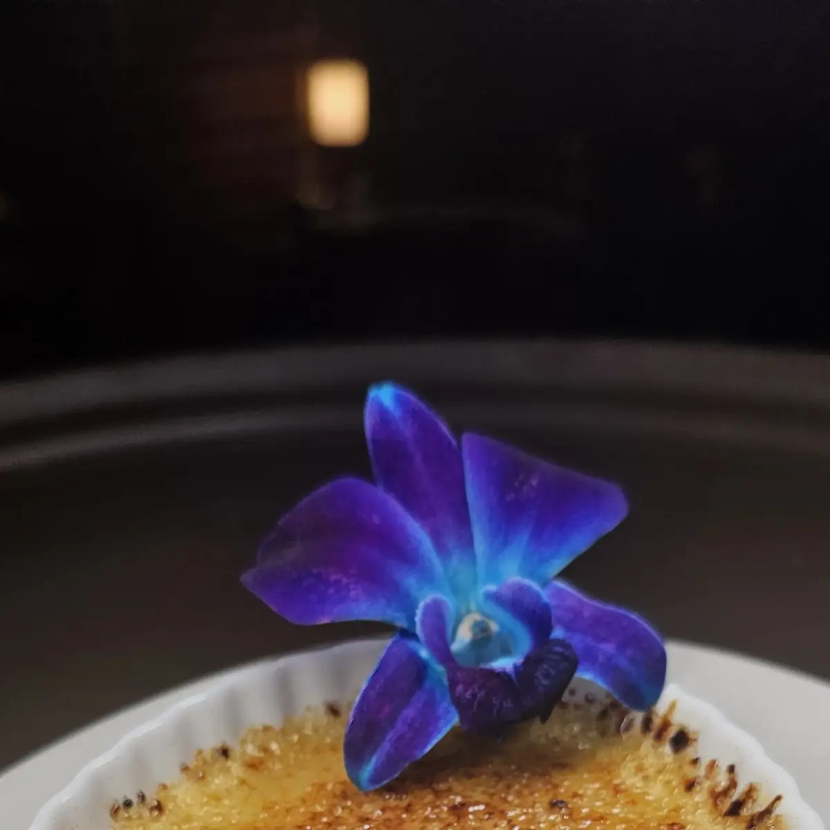 Creme Brulee