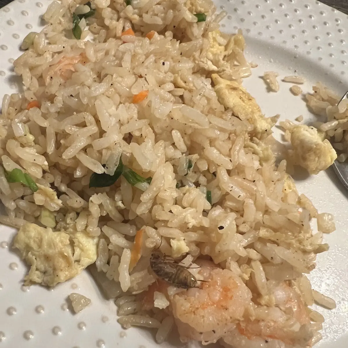 Shrimp Fried Rice