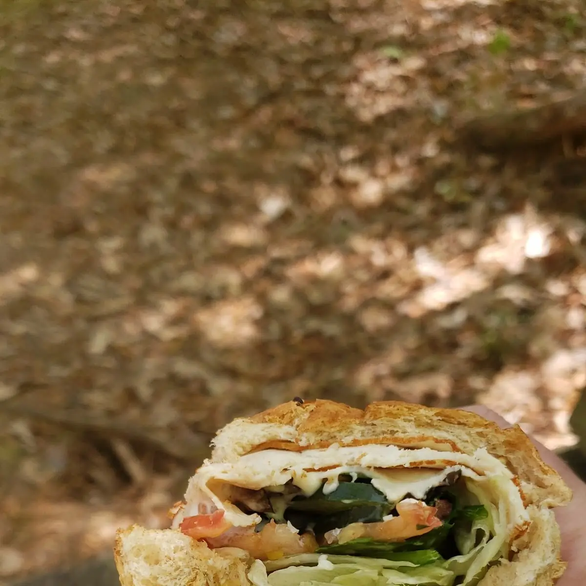 Roasted Turkey Sandwich