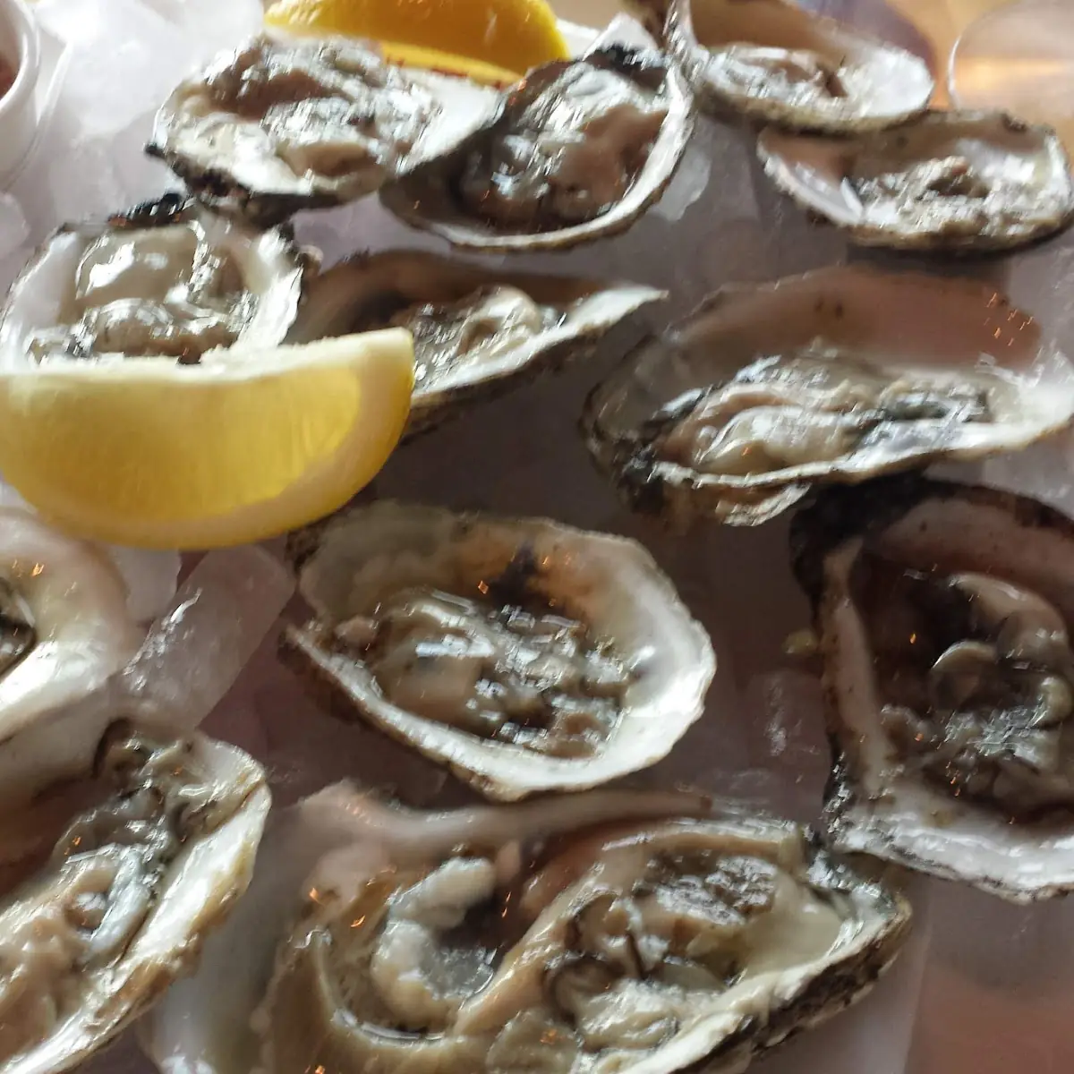 Raw Oysters on the Half Shell