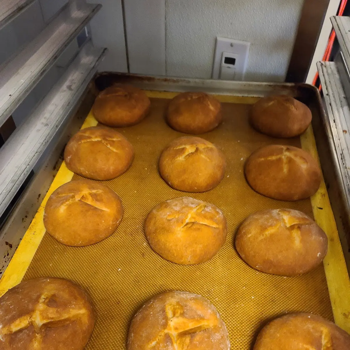 Gluten Free Bun