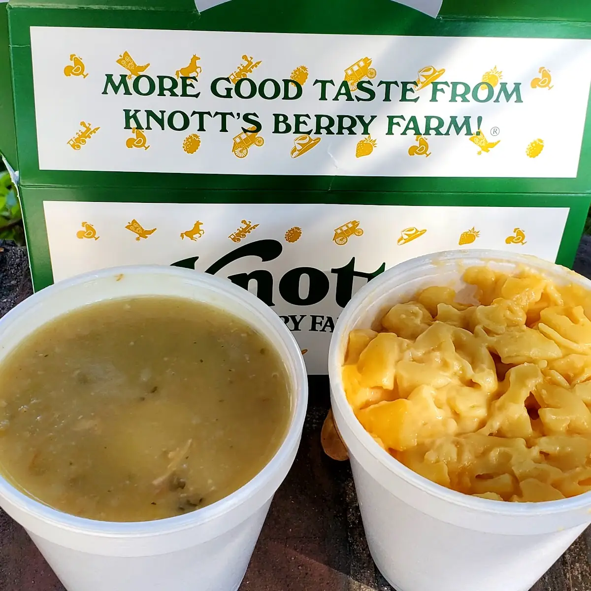 Chicken Noodle Soup Mac 'N Cheese