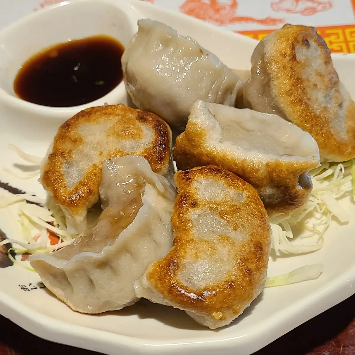 Fried Dumpling