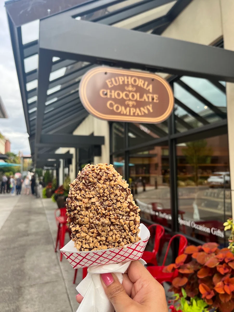 Dark Chocolate Dipped Ice Cream
