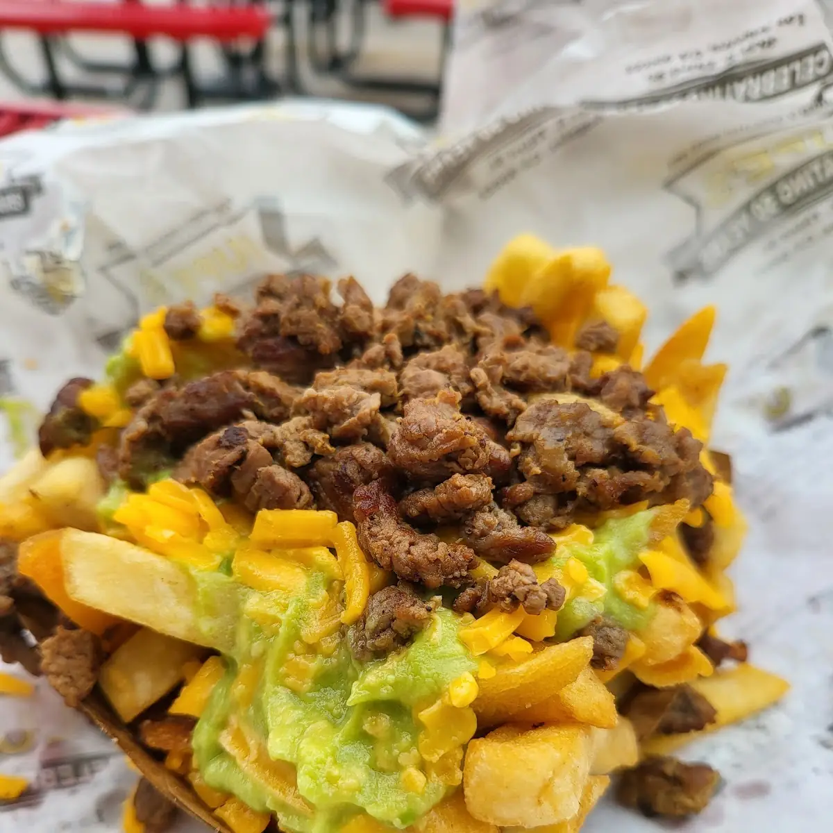 Carne Asada Nachos Supreme