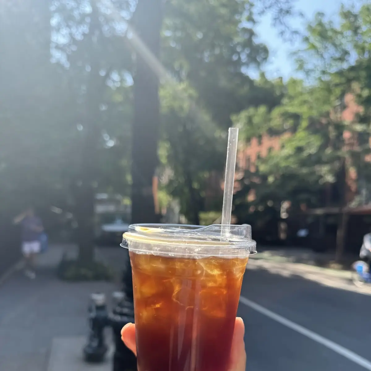 Cold Brew Iced