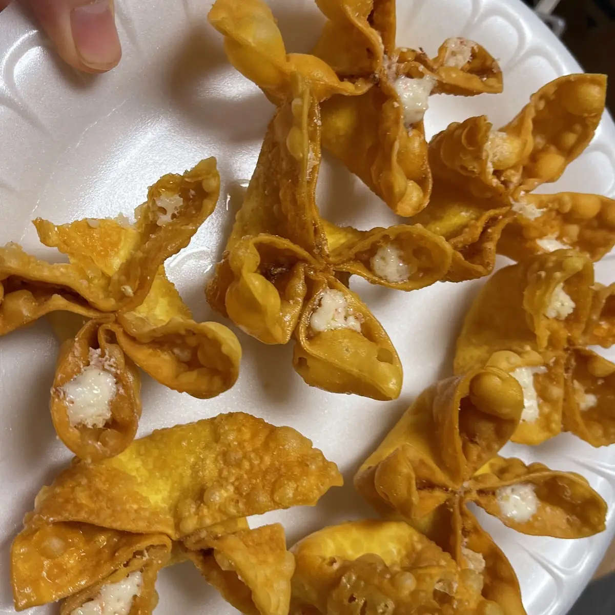 Fried Wonton 10