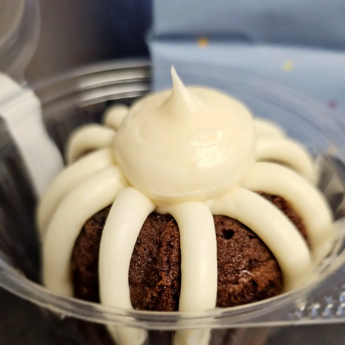 Chocolate Chip Bundlet