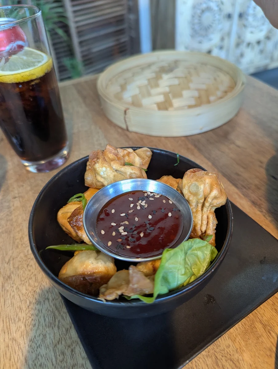 Wontonfritss
