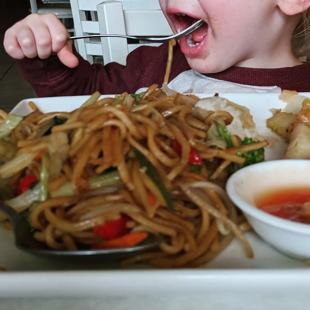 Veggie Lo Mein