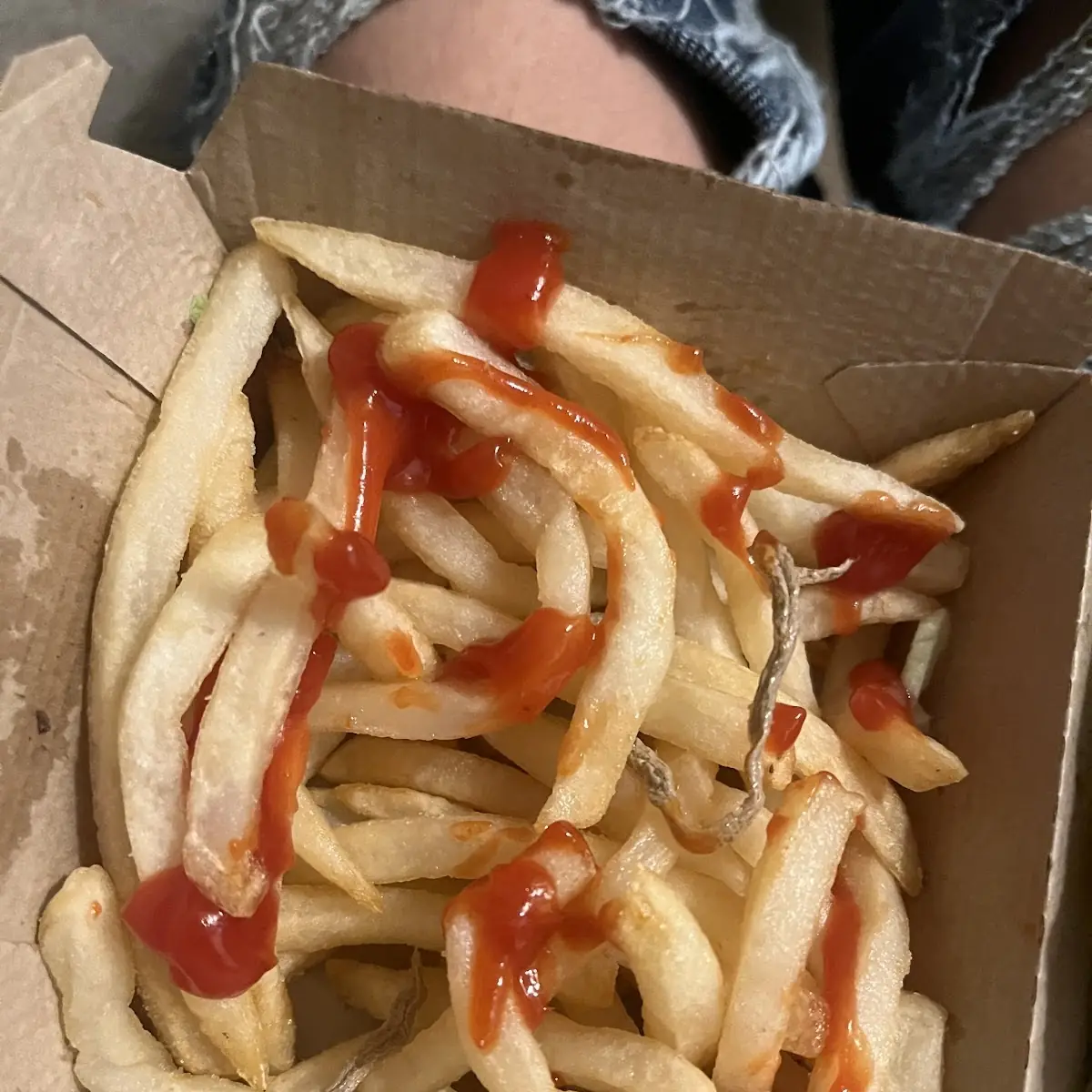 World Famous Fries