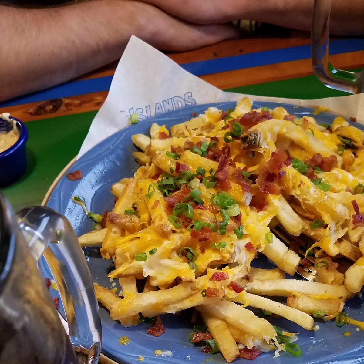 Cheddar Cheese Fries