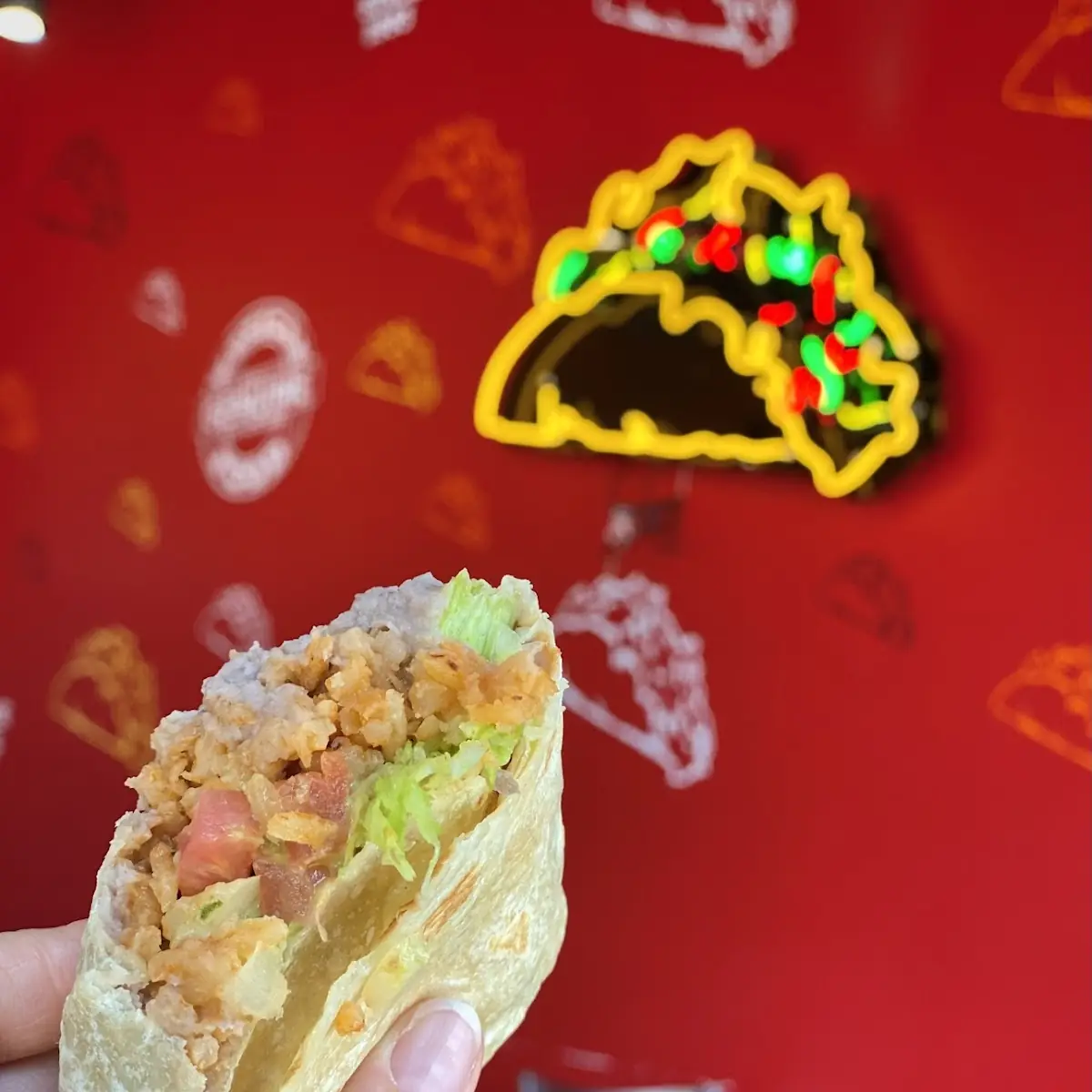Vegetarian Burrito