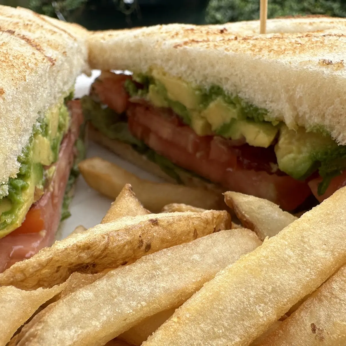 Swordfish Sandwich