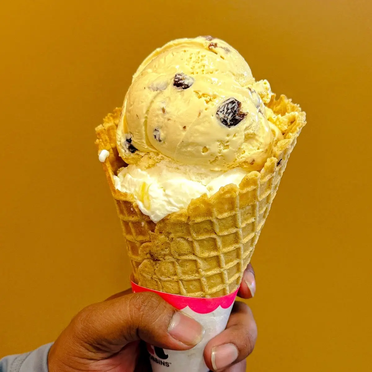 Fresh-Baked Waffle Cone