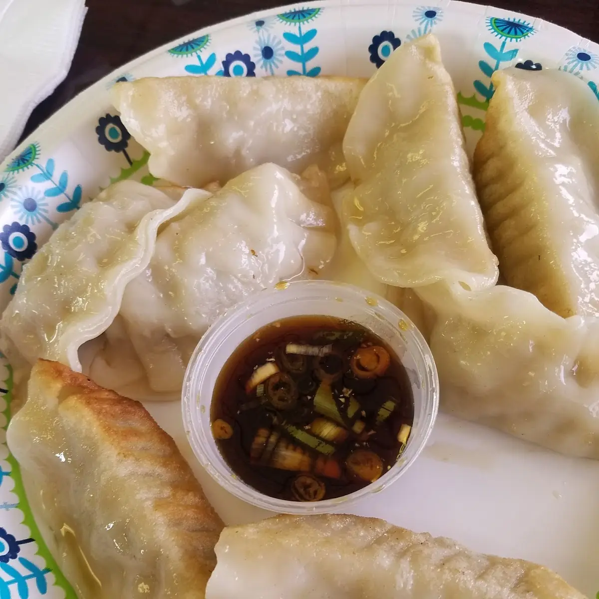 Fried Dumplings