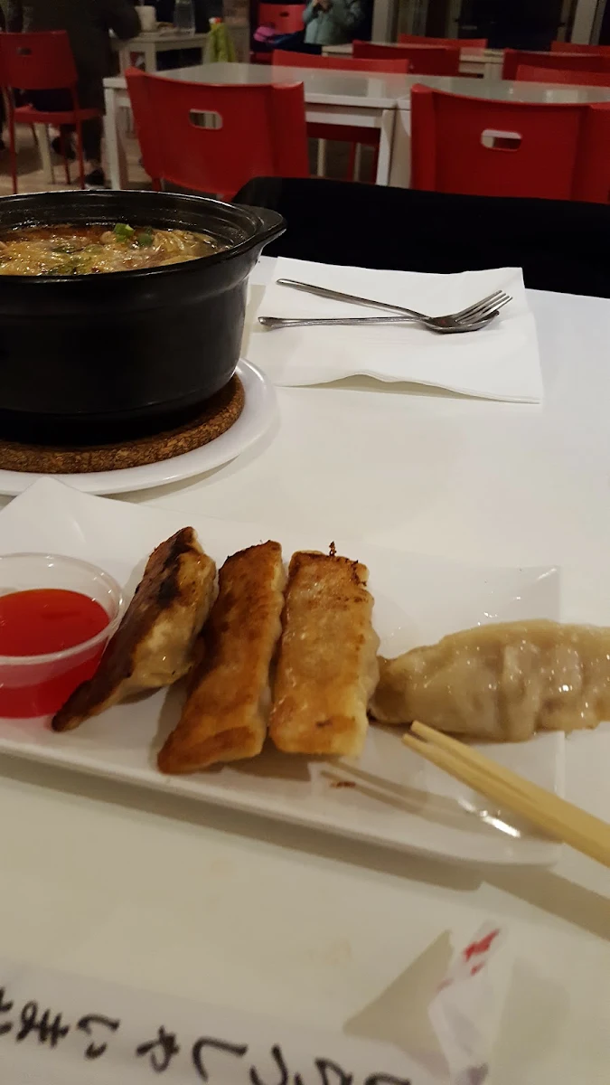 Pork Dumplings, Mr. Gao