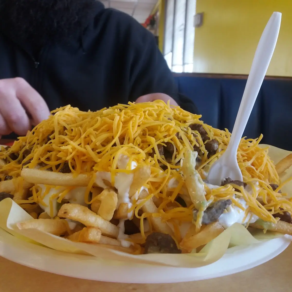 Carne Asada Fries